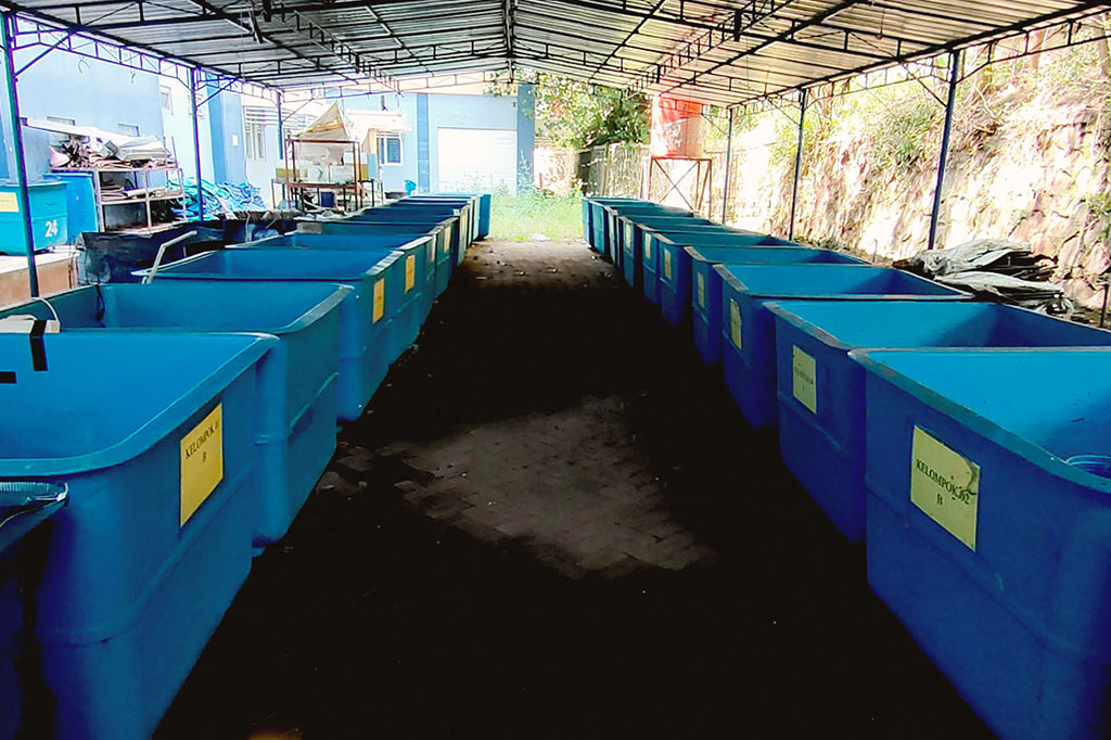 Pengelolaan Kualitas Air Menggunakan Filter Sederhana Dalam Pembenihan Ikan Lele (Clarias sp.)