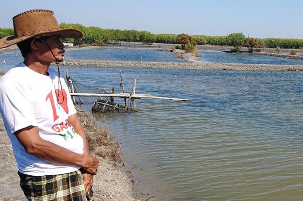 Budidaya Berkelanjutan untuk Mendukung Restorasi Hutan Mangrove di Indonesia (PASMI)