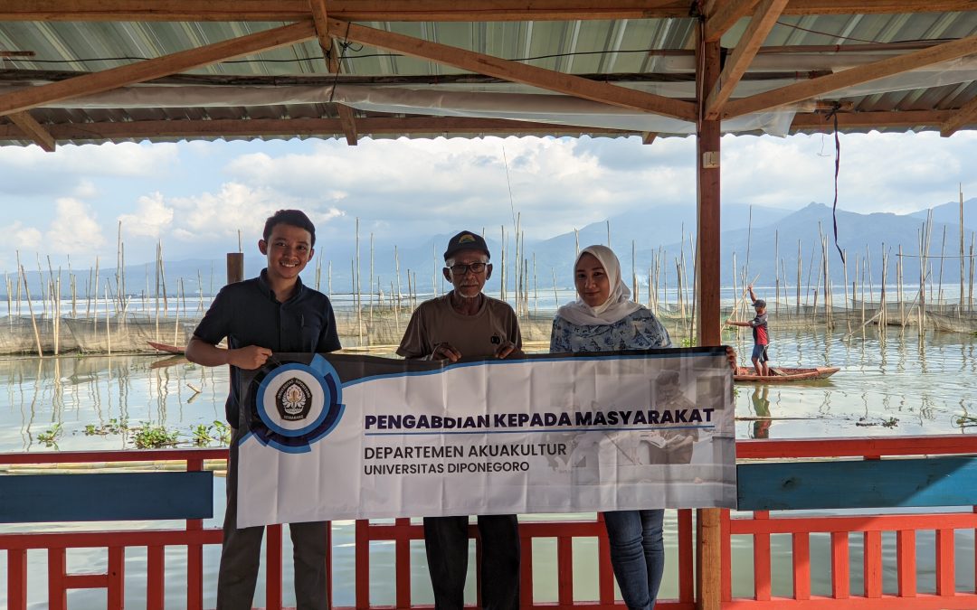 Pemanfaatan Temulawak Pada Pakan Buatan Sebagai Pemacu Pertumbuhan Ikan Di Desa Asinan, Semarang, Jawa Tengah