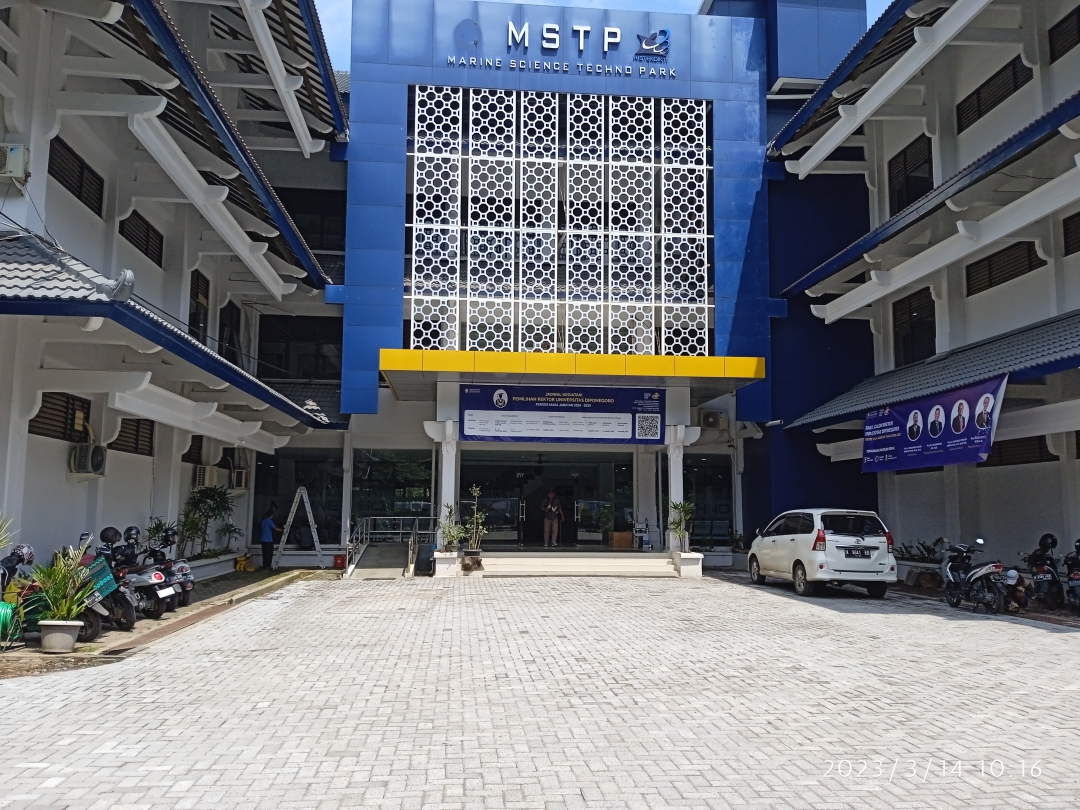 Pendampingan Pemeriksaan KAP RSM